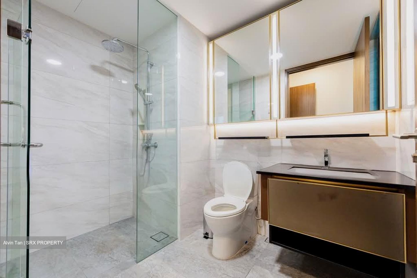 Normanton Park (D5), Apartment #604427681